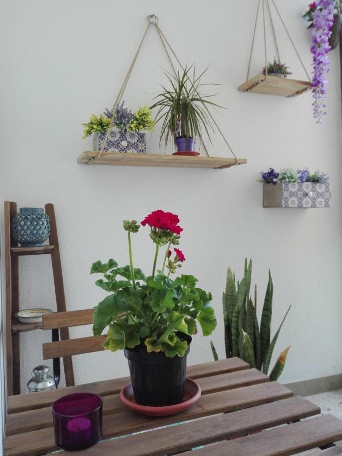 דירות בגרייה Casa Vacanze Demetra מראה חיצוני תמונה
